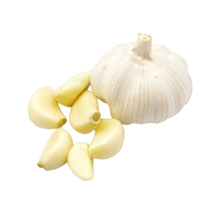 Knoblauch